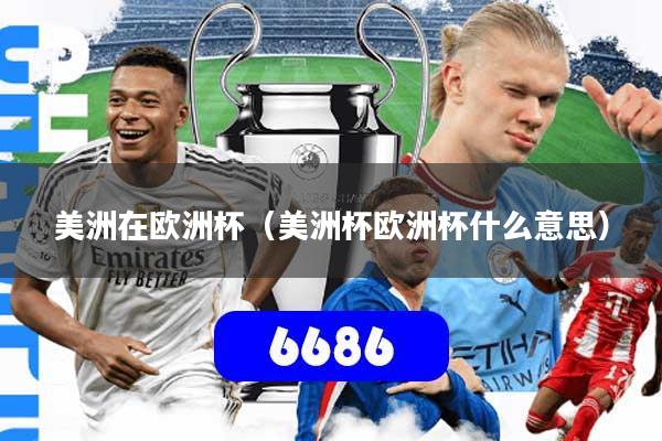 美洲在欧洲杯（美洲杯欧洲杯什么意思）