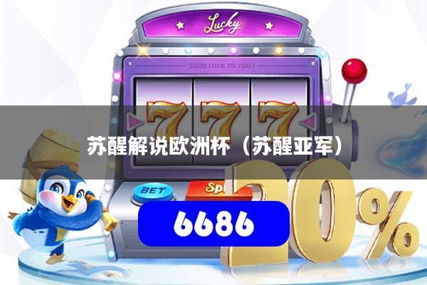 苏醒解说欧洲杯（苏醒亚军）