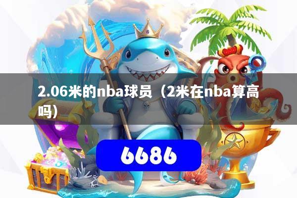 2.06米的nba球员(2米在nba算高吗)
